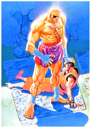 Illustration for article titled Capcom Wouldn't be Capcom Without Akiman's Amazing Art